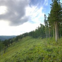 Будущее экологической политики Будущее экологической политики
