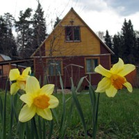 Отходы – в доходы, пластик – долой: азы дачной экологии Отходы – в доходы, пластик – долой: азы дачной экологии