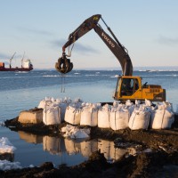 Очистим Арктику вместе. Волонтёры продолжат экологические акции