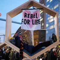 Сотни арестов экологических активистов в десятках мировых столиц Сотни арестов экологических активистов в десятках мировых столиц