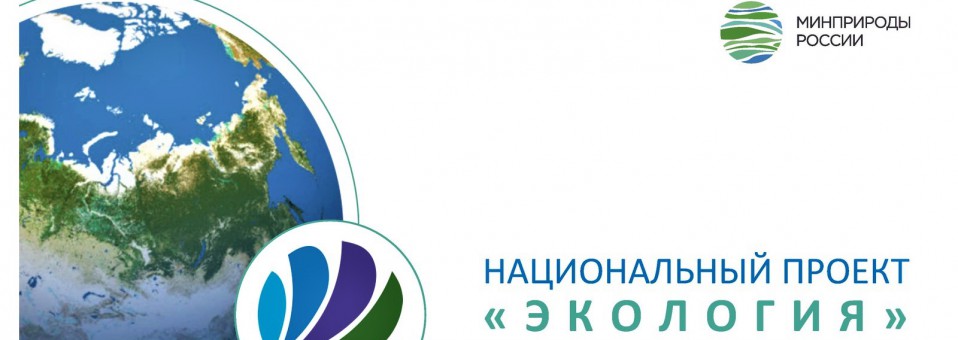 Счетная палата опубликовала итоги мониторинга исполнения нацпроекта «Экология» в 2019 году Счетная палата опубликовала итоги мониторинга исполнения нацпроекта «Экология» в 2019 году