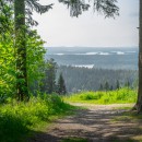 Глядят в заповедную даль