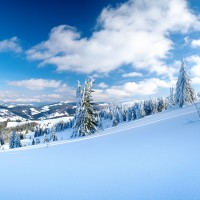 Уважаемые партнеры, коллеги, друзья! Поздравляем вас с Новым годом и Рождеством! Уважаемые партнеры, коллеги, друзья! Поздравляем вас с Новым годом и Рождеством!
